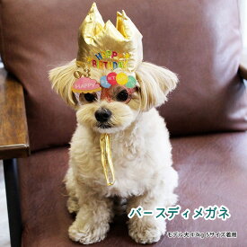 犬のメガネ Life-Like バースデーメガネMサイズ 誕生日 イベント パーティ 犬のプレゼント 犬のギフト 猫のプレゼント 猫のギフト 誕プレ