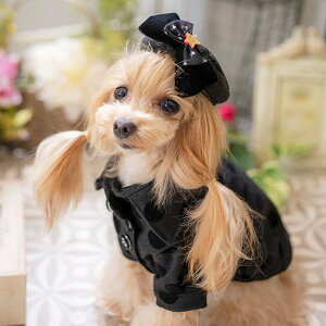 【ルルドール】フロッキードットシャツ パピーS,3S,SS ブラック ホワイト 秋冬 超小型犬 小型犬 犬服 犬 服 女の子 冬用