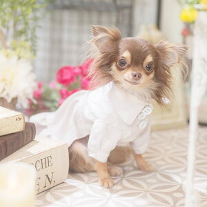  Hyh[ztbL[hbgs[X ps[S,SS ubN zCg H~ hbOEFA  s[X ^