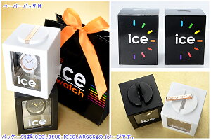 超特価激安 Ice Watch ペアウォッチ 代 30代 彼女 彼氏 レディース メンズ カップル ペア 誕生日プレゼント 記念日 ギフトラッピング アイスウォッチ クリスマス Www Ecyclesolutions Com