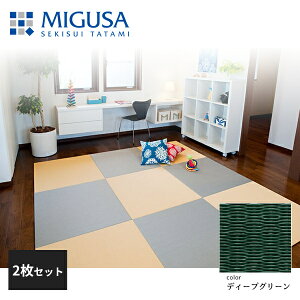 yKizy[J[zϐ^ u tA  MIGUSA ڐ MESEKI fB[vO[ 2Zbg F FLR-MS-DG-2