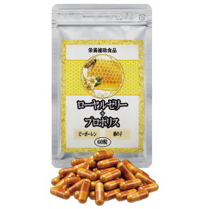 ���[�����[���[ �v���|���X �T�v�������g ���[�����[���[�{�v���|���X 1�� - �قق��݌��C�N���u