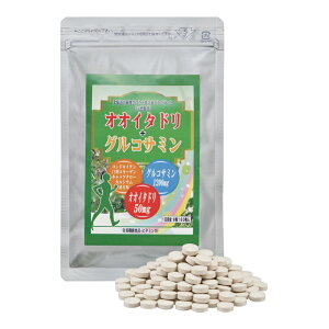 �I�I�C�^�h���{�O���R�T�~�� 1��