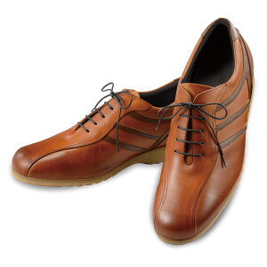 q[AbvU[Xj[J[ iubN / uE / zCgj 5.0cmUP V[NbgV[Y