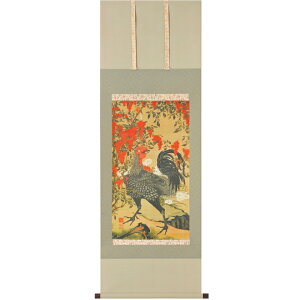 VY{} | ɓt A\G RNV OW pi CeA