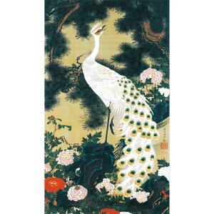 ɓt A\G VE} dl | pi CeA i 