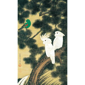 ɓt A\G V_} dl | pi CeA i 