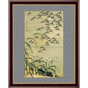 ɓt A\G HQ} z pi CeA vJ ObY - A[g̗F