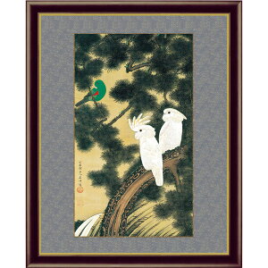 ɓt A\G V_} z pi CeA vJ ObY - A[g̗F