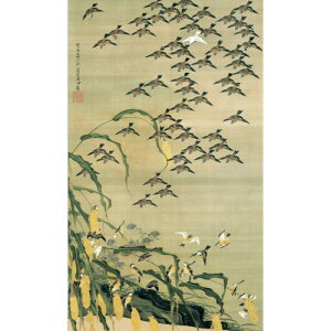 ɓt A\G HQ} dl z pi CeA i 