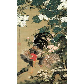 楽天市場 伊藤若冲 動植綵絵の通販