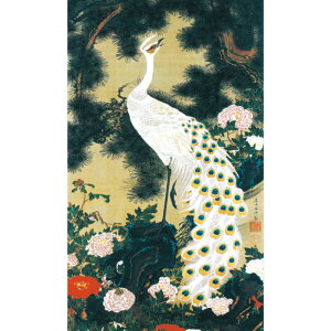 ɓt A\G VE} dl z pi CeA i 