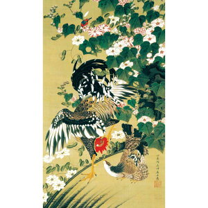 ɓt A\G uo{} dl z pi CeA i 