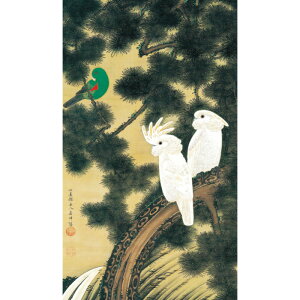 ɓt A\G V_} dl z pi CeA i 