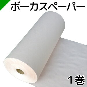 {[JXy[p[ 538mm×350M@[ 1@i  / ɏՍ /  /  /  / z / Ntg /  / X / O / {[JX / lߎ / X / ɏՎ j