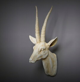 楽天市場 トナカイ 剥製の通販