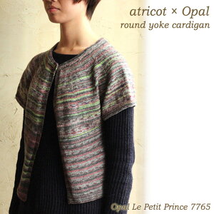 y021zatricot × Opal ۃ[ÑJ[fBKVsVs