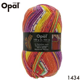 毛糸 Opal オパール Hundertwasser 1434てあみ かぎ針 棒針 ニット 手編み 編み物 手芸 ハンドメイド 手作り☆オパール