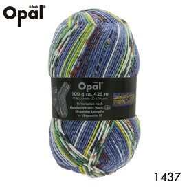 毛糸 Opal オパール 靴下用毛糸 Hundertwasser 1437てあみ かぎ針 棒針 ニット 手編み 編み物 手芸 ハンドメイド 手作り☆オパール