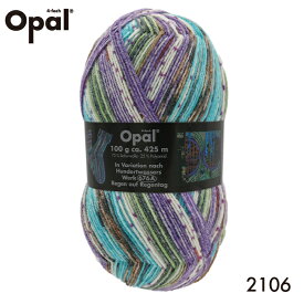 毛糸 Opal オパール Hundertwasser 2106てあみ かぎ針 棒針 ニット 手編み 編み物 手芸 ハンドメイド 手作り☆オパール