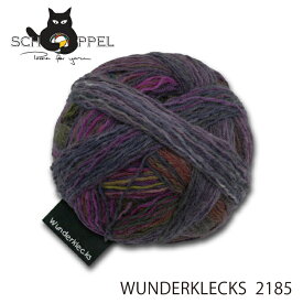 ショッペル SCHOPPEL 靴下用毛糸 WUNDERKLECKS（ワンダークレックス）2185 ドイツ製 編み物 手編み ハンドメイド☆ショッペル