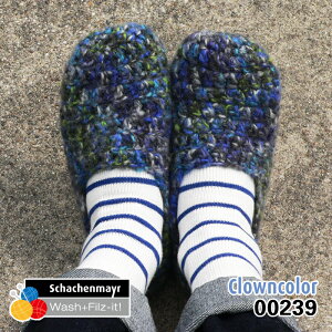 y806zkOE[ŕ҂ރ[V[YVs