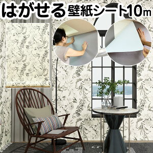 yN[|zzzǎV[ 10m ԕ A R  ̂t K C ǎ CNV[g NX ؖ JbeBOV[g k n ؖ t[  ͂ 3d ǎ̏