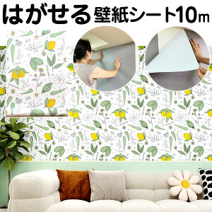 yN[|zzzǎV[ 10m ԕ A R  ̂t K C ǎ CNV[g NX ؖ JbeBOV[g k n ؖ t[  ͂ 3d ǎ̏