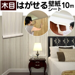 yN[|zzzǎV[ CNV[g  ̂t K C ւ SV[g ǎ NX ؖ JbeBOV[g k n ؖ ʏ  ͂ 3d ǎ̏ォ