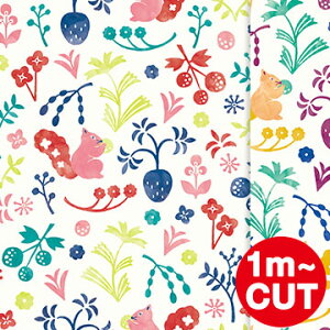 y1mP ؂蔄zǎ ͂yOK^t[Xǎz \Ă͂ǎ Jbg̔ Jebrille Wallpaper Wu[ ԕ X ͂ { q k K[[ ǎ ͂ǎ