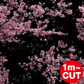楽天市場 貼ってはがせる壁紙 花柄の通販