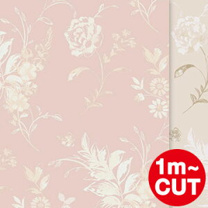 y1mP ؂蔄/݌Ɂzǎ GURACEFUL LIVING \Ă͂ǎ t[Xǎ XEF[f AeB[N u[ ԕ k BORASTAPETER Jbg̔ ׂ݊v