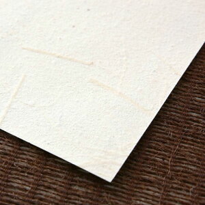 ySiΏۃN[|zzz LQz̔Lӂ܎ 炬 3505`3507 (1mP) ǎ{