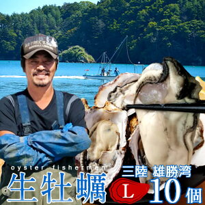 OJL y kt L 10 Hp KL 嗱a {錧 ΊY tcX  VNYnmH̖o ӂ邳ƃMtgn