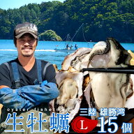 三陸カキ 生牡蠣 殻付き 特大L 15個 生食用 生ガキ 大粒牡蛎 宮城県 石巻産 漁師直営店 お取り寄せ 新鮮…