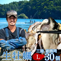 カキ 生牡蠣 殻付き 生食用 牡蠣 特大L 30個
生ガキ 大粒カキ 三陸宮城県産 雄勝湾(おがつ湾)漁師直送 お取り寄せ 新鮮生がき 感動 産地直送 生産者支援 おすすめ ギフト