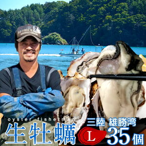 OJL y kt L 35 Hp KL 嗱a {錧 ΊY tcX  VNYnmH̖o ӂ邳ƃMtgn