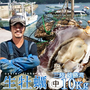 JL y kt 10kg  Hׂ₷ Hp {錧 ΊY t iJL y  v[gmăMtg cn