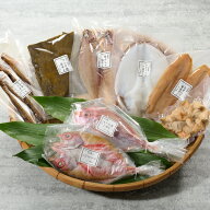 干物セット 大波　ギフト　贈り物　敬老の日　御歳暮