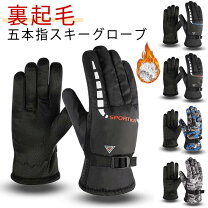 楽天市場】スキーウェア メンズ 手袋の通販