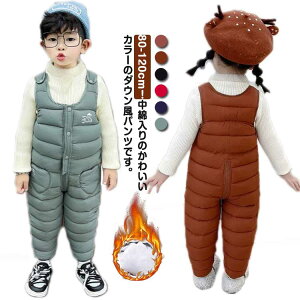 Tybg h Tybg V q _Epc Jo[I[ WvX[c Tybg ~ LbY xr[ pc ۉ h΍ n y p[X qǂ j̎q 