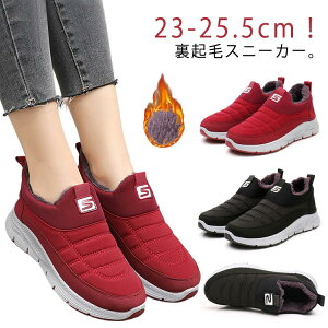 50 hXj[J[ Xm[V[Y N V[gu[c Xm[u[c hXj[J[ g ~ h ~p 40 fB[X ۉ AEghA O ~C C h V[Y h