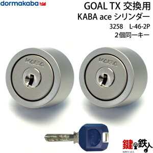 yL-46-2PzKABA aceGOAL-TX^Cv̌(JM)̌V_[Vo[F2L[^CvWL[6{t