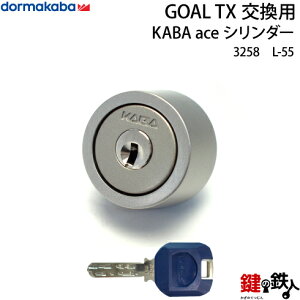 yL-55zKABA aceGOAL-TX^Cv̌(JM)̌V_[Vo[F1^CvWL[3{t