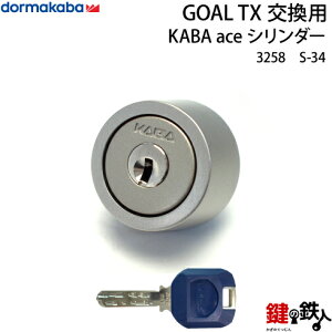 yS-34zKABA aceGOAL-TX^Cv̌(JM)̌V_[Vo[F1^CvWL[3{t