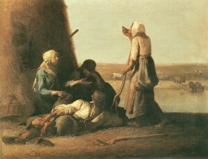 yzG ʉ敡G/Wt\E~[ 𑩂˂_v̋x yɏ鍋؊zt LoXz