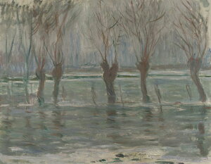 G CeA z Ǌ|GN[hEl ^ ʉ  Iׂz IׂTCY