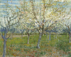 yzG ʉ敡G/Sbz ԍ炭AY̖؁X̂ʎ yɏ鍋؊zt LoXz