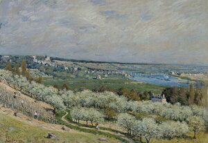 G CeA z Ǌ|GAtbhEVX[ TWF}̏t̃eX IׂTCY@Iׂz ʉ  Iׂz IׂTCY