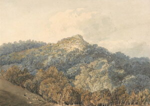 G CeA z Ǌ|Gg[}XEK[eB bJEfBEp[p IׂTCY@Iׂz ʉ  Iׂz IׂTCY